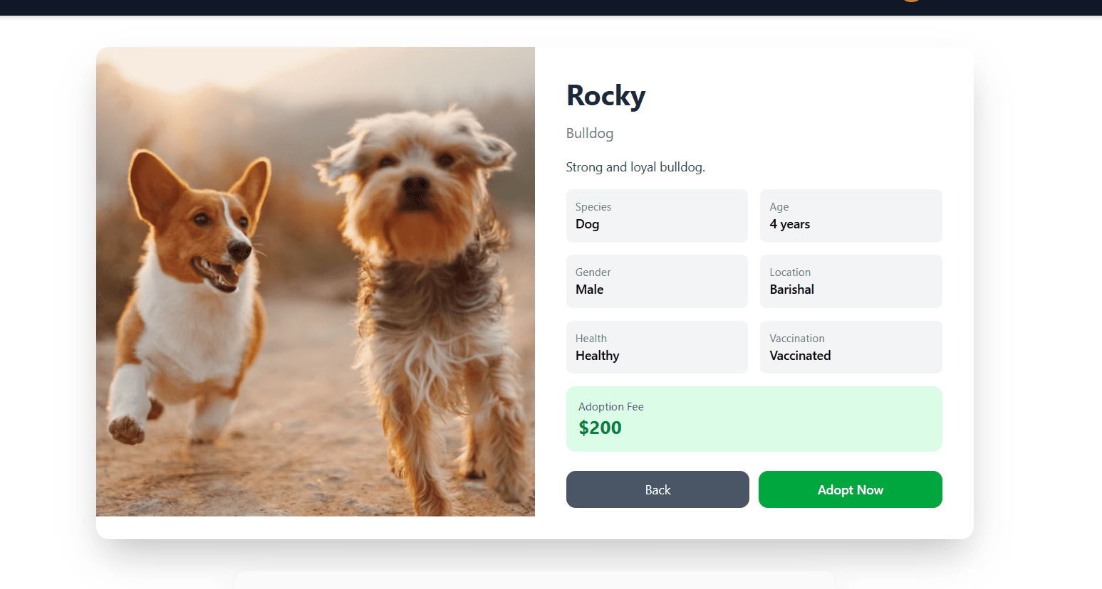 Pet Adoption Platform